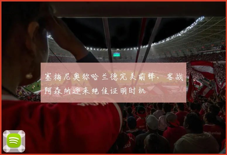塞梅尼奥称哈兰德完美前锋，客战阿森纳迎来绝佳证明时机